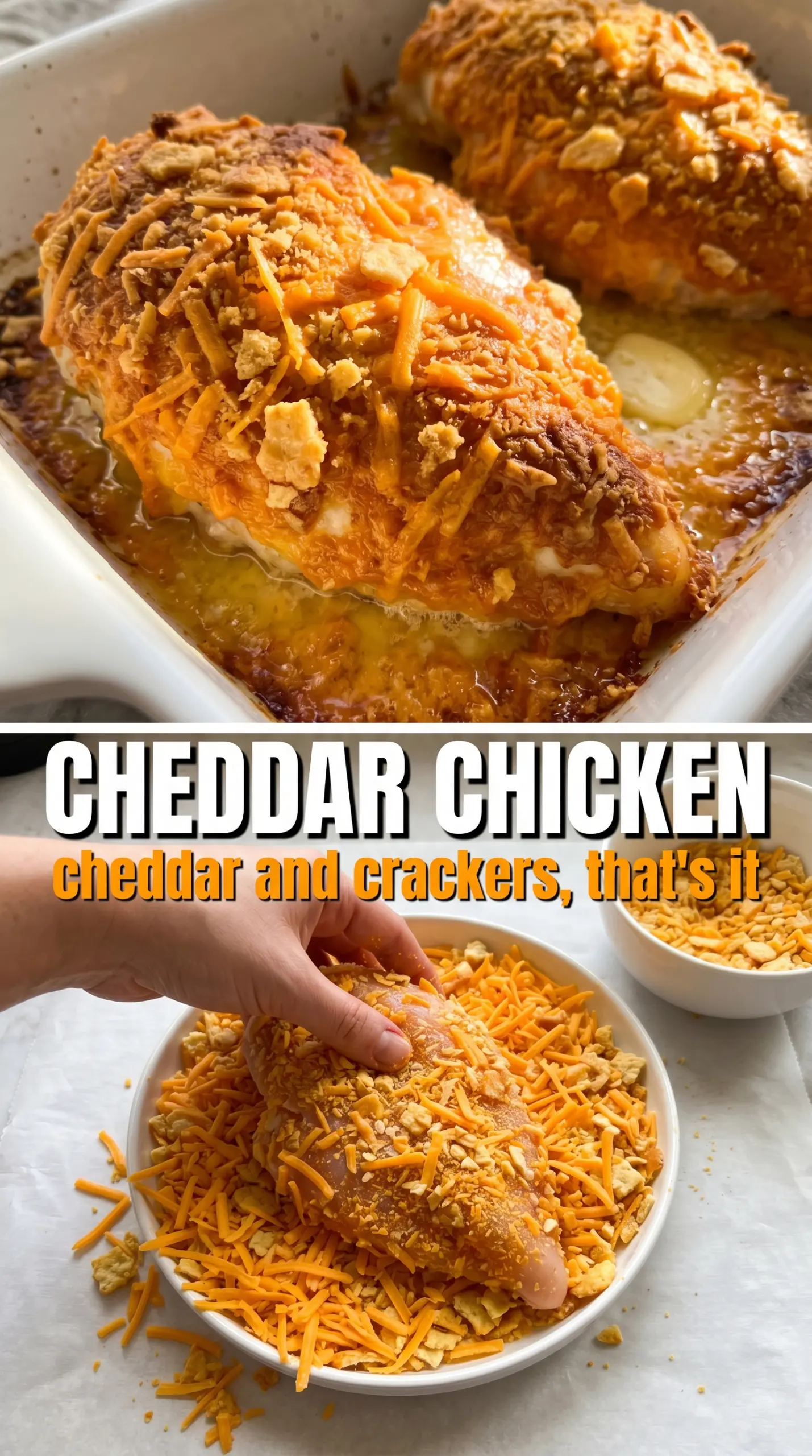Crispy Cheddar Chicken golden crust juicy chicken