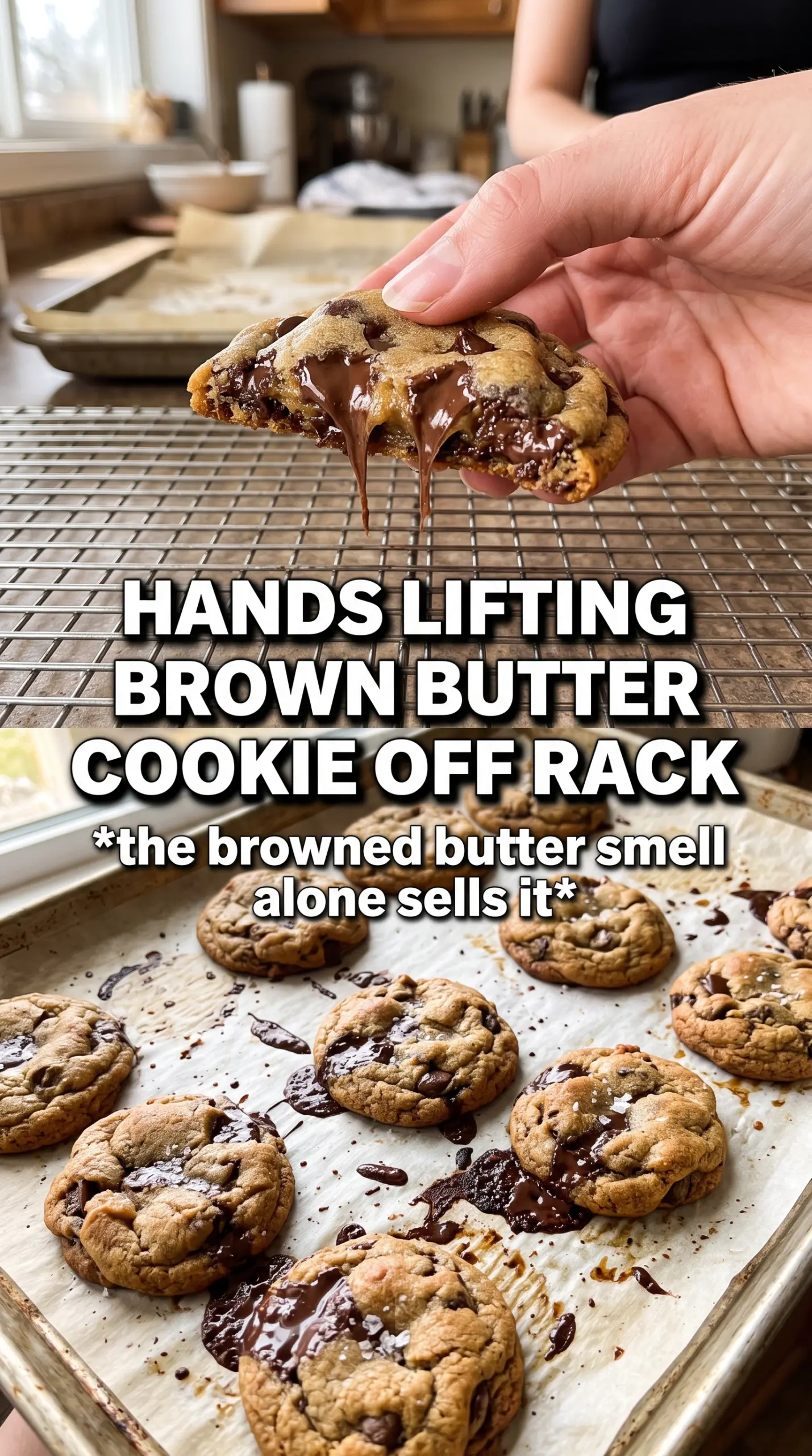 Brown butter pumpkin chocolate chip cookies chewy chocolatey