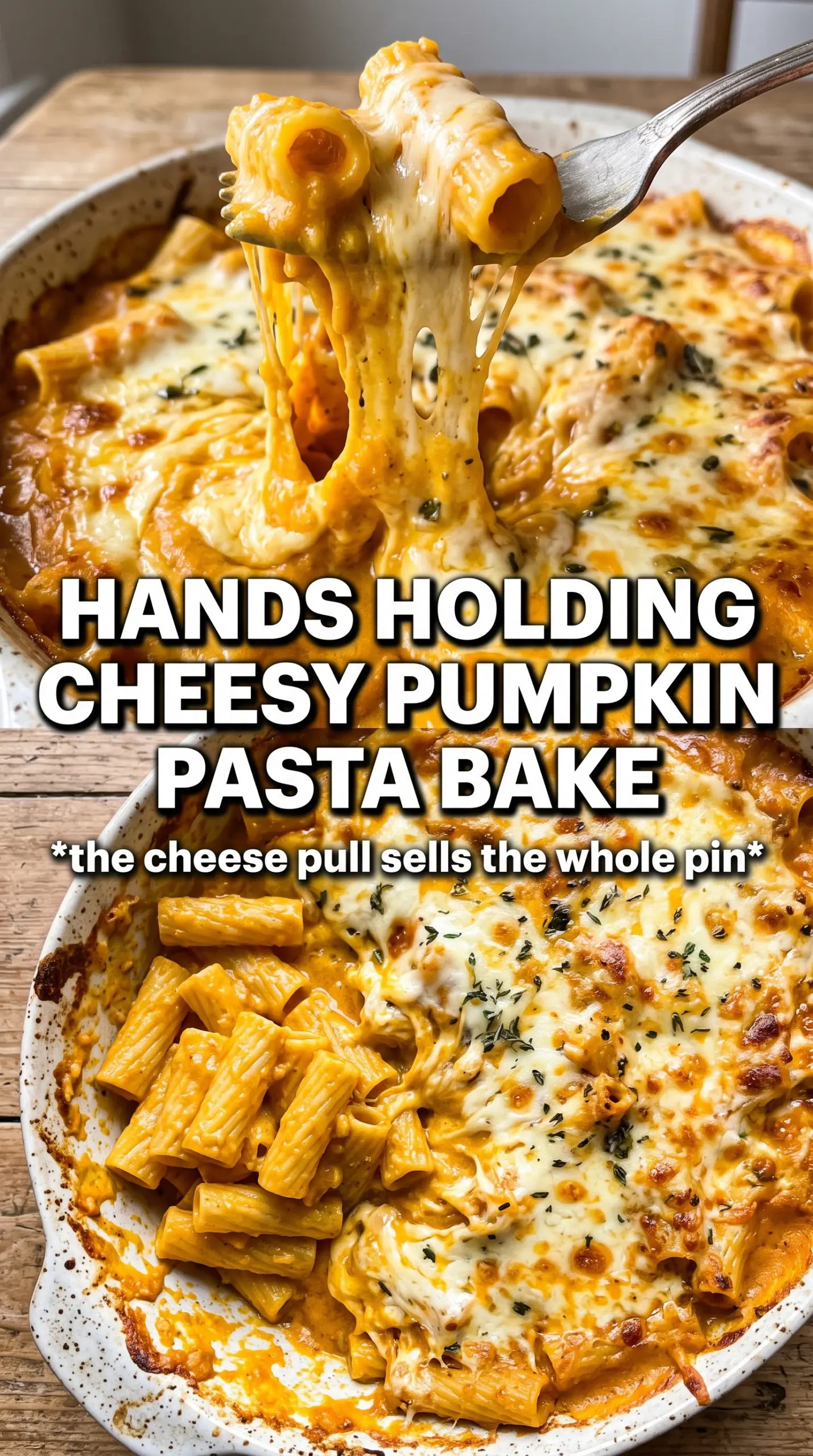 Cheesy Pumpkin Pasta Bake creamy golden baked pasta