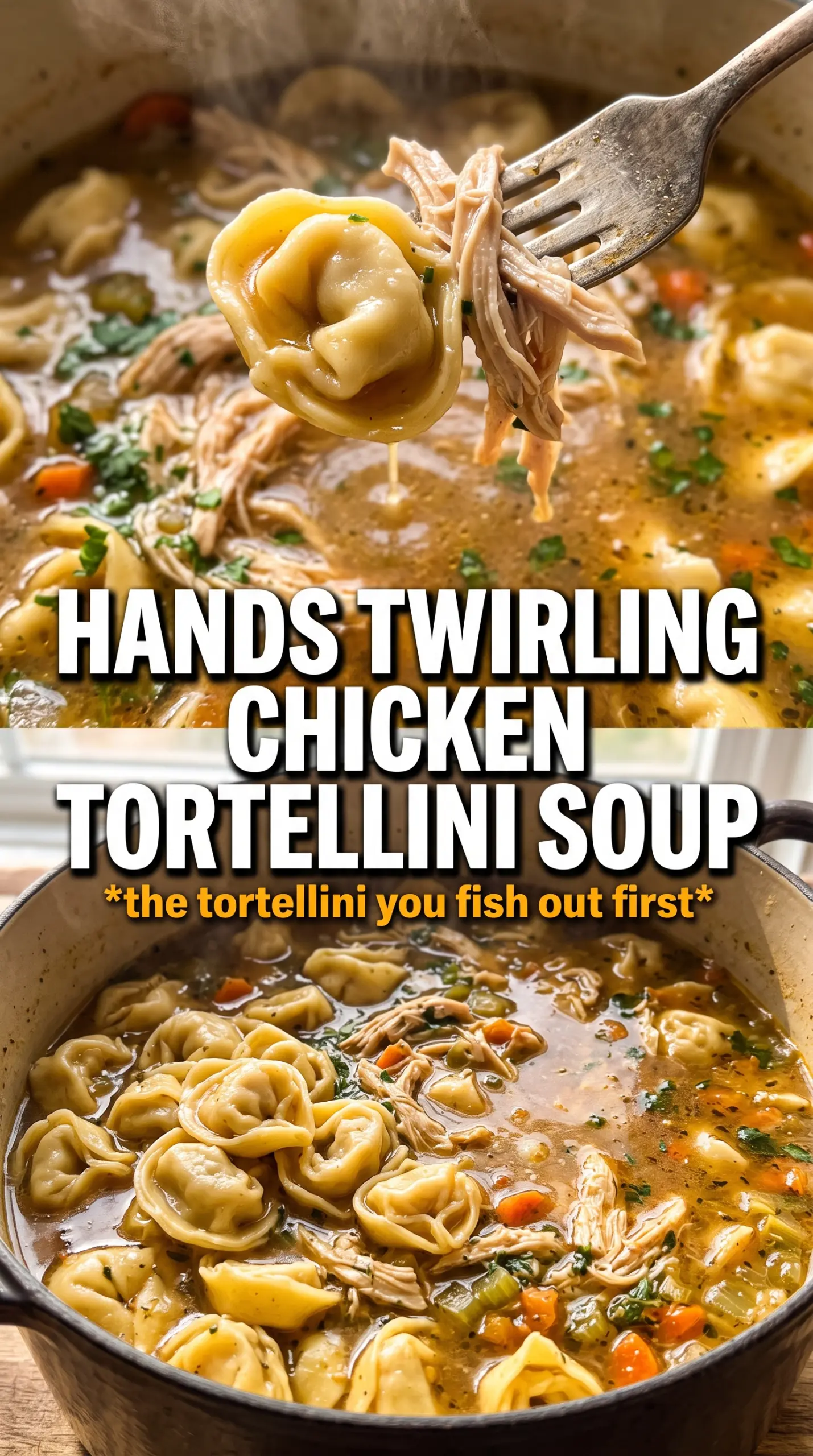 Chicken Tortellini Soup, golden herb broth, cheesy tortellini