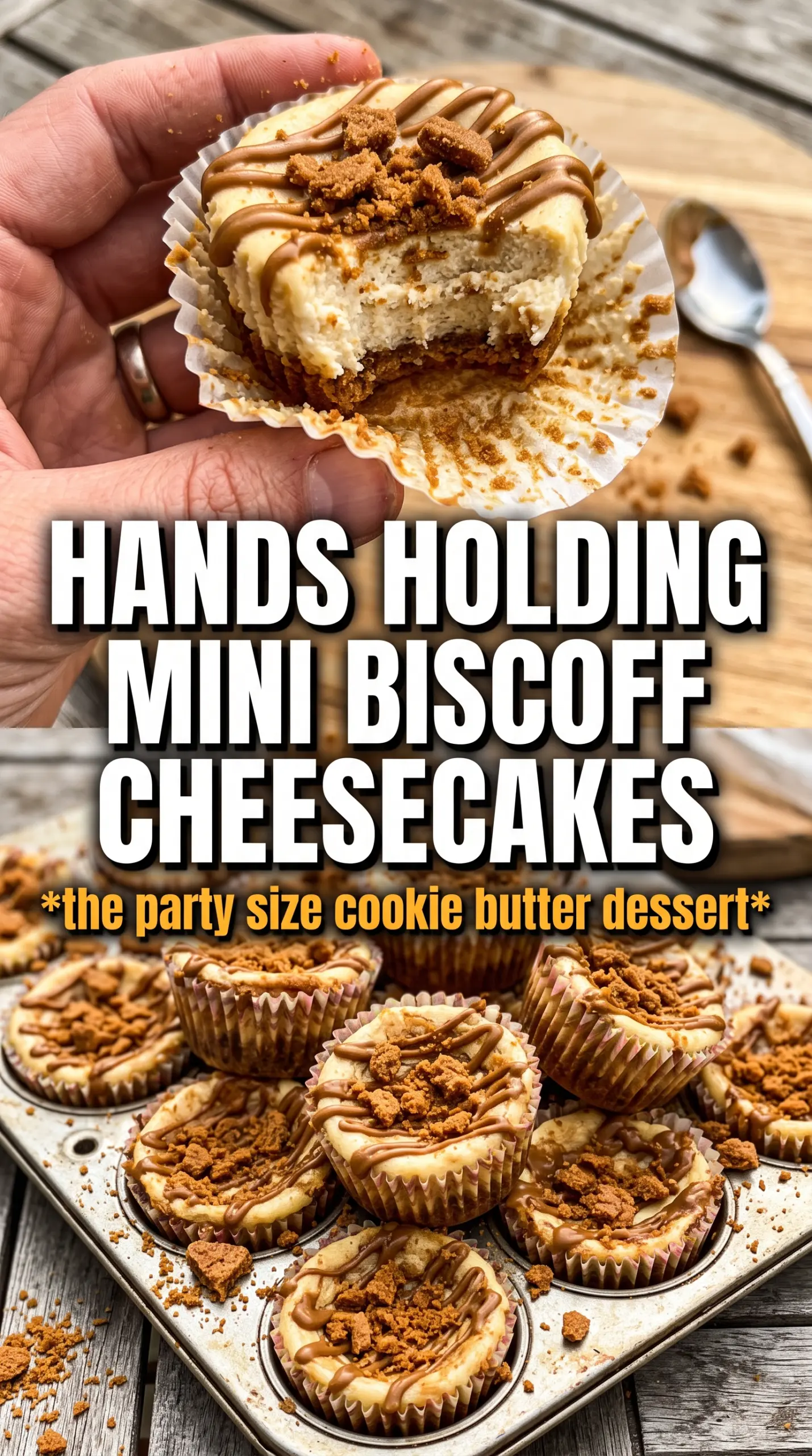 Mini Biscoff Cheesecakes creamy cookie butter